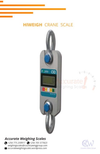 Accurate digital crane weighing scales prices at supplier