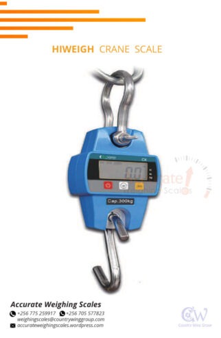 crane weighing scale with palm indicator at affordable price