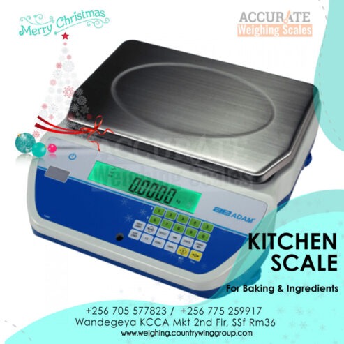 Compass Series Portable table top Balance scale of 1g