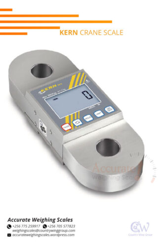 Digital Crane weighing scale power adaptors in supplier