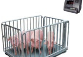 pig’ weighing scale with optional USB data transfer call