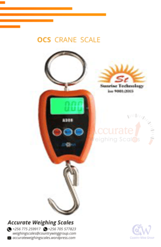 Light duty OCS crane weighing scales series in store