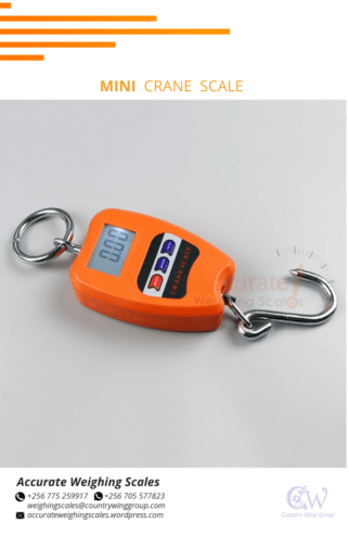 Electronic digital crane weighing scales with LCD display