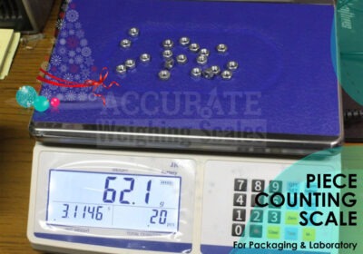 PIECE-COUNTING-SCALE-24-3