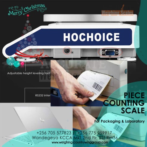 Price Computing Weighing Scale for your business