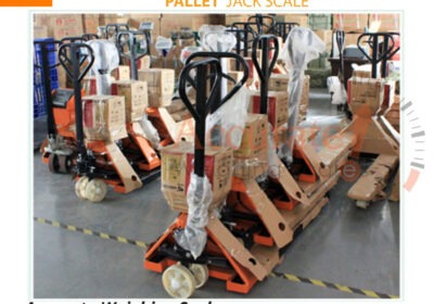 Pallet-scale-10-jpg-1