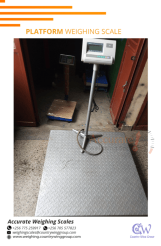 Perfect stainless heavy duty digital platform weighing scale