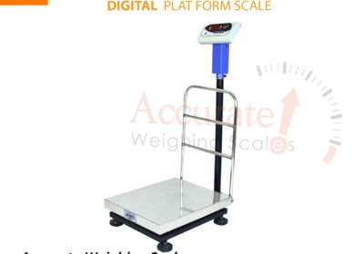 Platform-scale-116-jpg