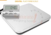 Licensed heavy-duty platform weighing scale for trade