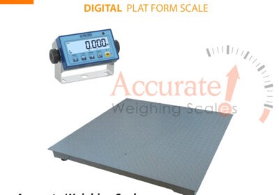 Platform-scale-21-jpg-1