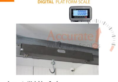 Platform-scale-23-1