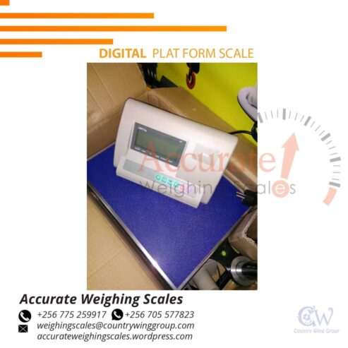 mild steel heavy-duty platform weighing scales