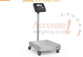 Different capacities of industrial light platform weighing