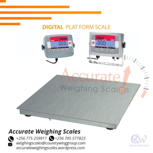 suppliers of heavy-duty platform weight scales Wandegeya