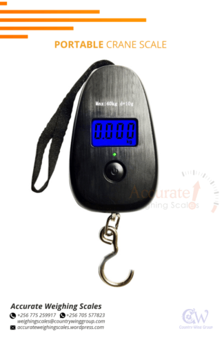 buy Luggage weighing scale for fish at Kasenyi landing site