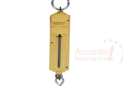 Portable-crane-scale-1-jpg-1