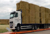 weighbridge vehicle scales with video capture module