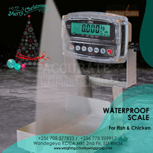 Low cost waterproof weighing scale rated to IP66.