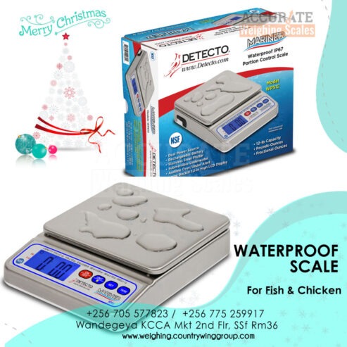 digital IP rating of scale water proof