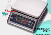 digital table top weighing scale with up to 240V adaptor