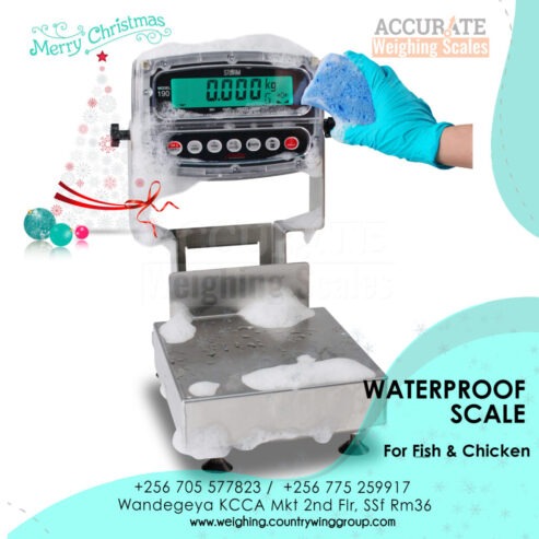 purchase waterproof table top weighing scales