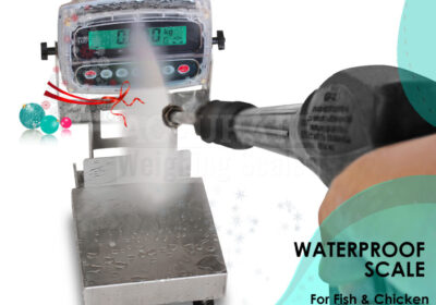 WATERPROOF-WEIGHING-SCALES-9-1