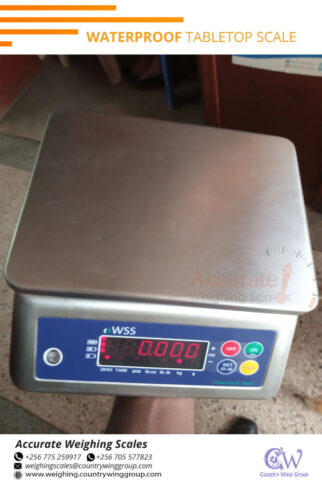 digital platform digital scale with food dimensions