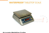 portable table top weighing wash down Scale-stainless steel