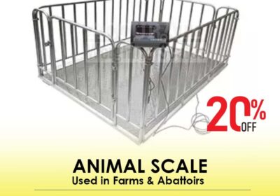 animal-scale-11-10