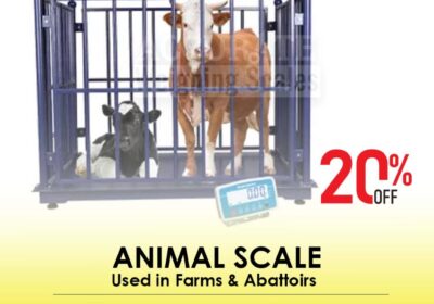 animal-scale-12-6