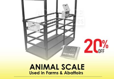 animal-scale-14-1