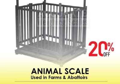 animal-scale-18-5