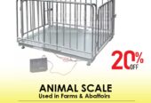 Cattle 400Kg Animal Weighing Scales Vet Scale