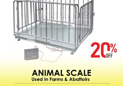 animal-scale-19-2