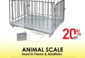 Cattle 400Kg Animal Weighing Scales Vet Scale