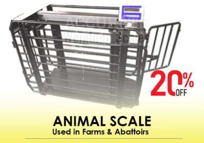 animal-scale-21-4