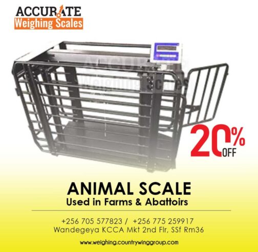 300Kg platform electronic pet weighing scales in Kampala