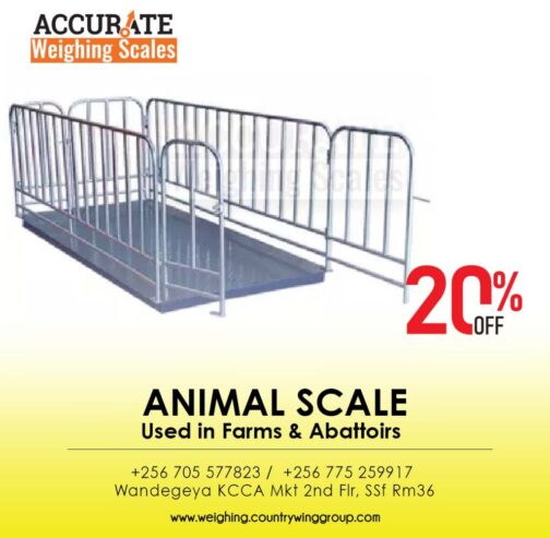 Cattle scales with exchangeable units like Kg/lb. in Kampala