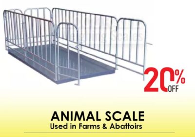 animal-scale-22-5