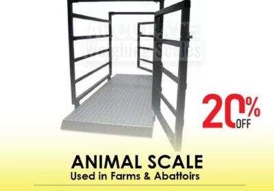 animal-scale-23-2