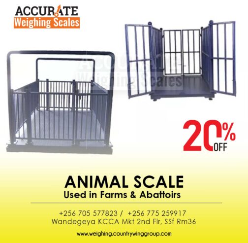 animal weighing scale with LCD backlit indicator display