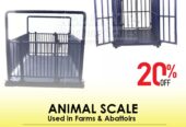 Platform LCD display Animal Weight Scale in Kampala Uganda