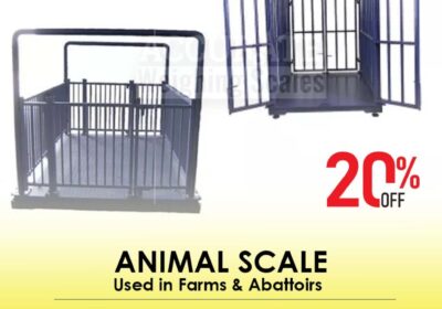 animal-scale-31-5