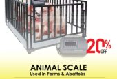 Animal rearing scales with IP stainless steel indicator