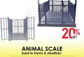 2*2M 3Ton Livestock Scale for weighing cattle in Kampala