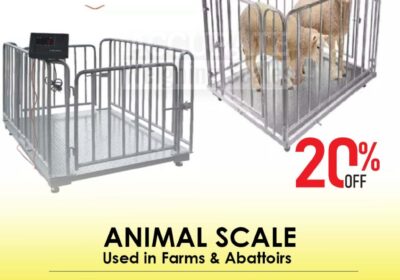 animal-scale-8-6