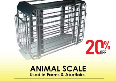 animal-scale-9-5