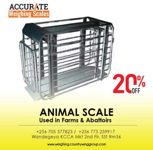 livestock Weigh beams with Li-on rechargeable batteries