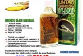 Minyak Lintah Gunung Hijau Oil In Pakistan | 030009766