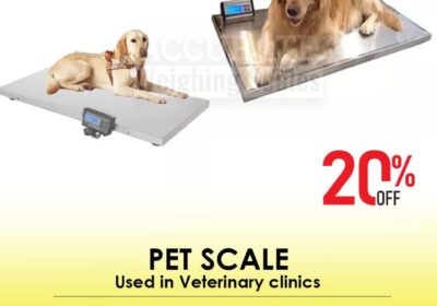 pet-scale-1